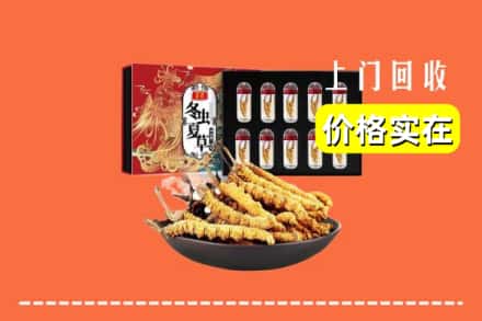洛阳市新安回收冬虫夏草